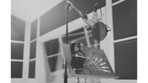 Acoustic Panels